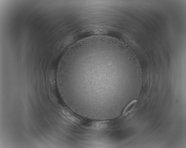 X0000060780078200511101351