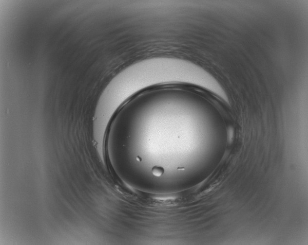 X0000060780079200511101351