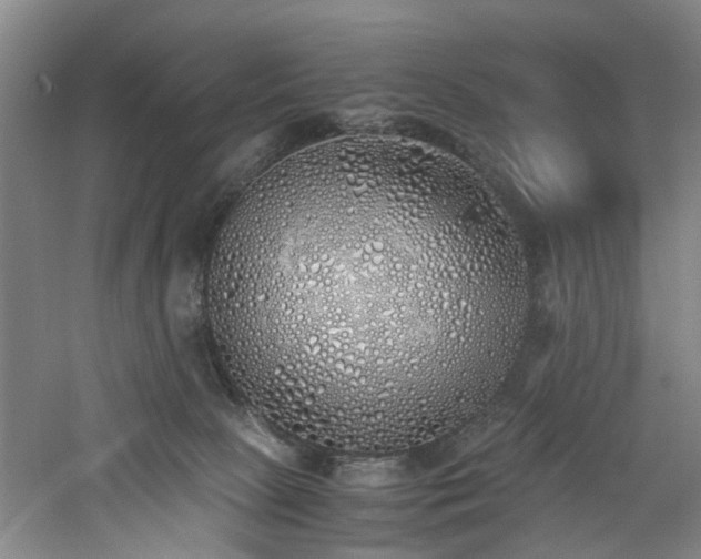 X0000060780081200511101351