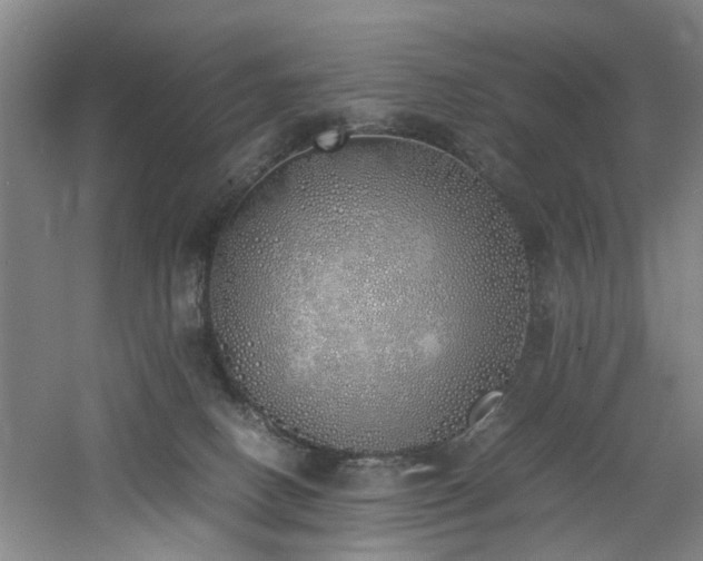 X0000060780082200511101351