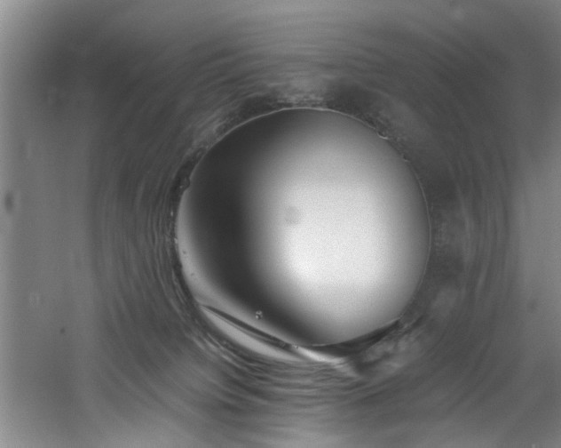 X0000060780084200511101351