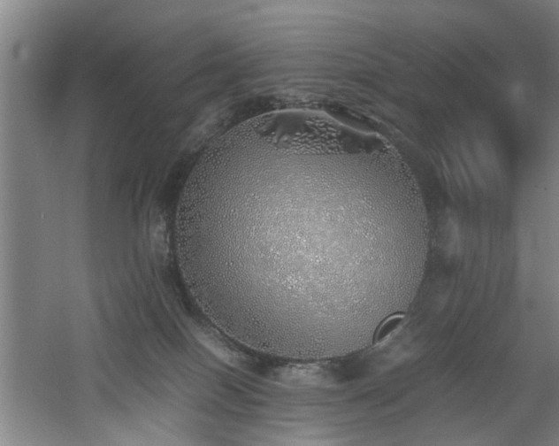 X0000060780086200511101351