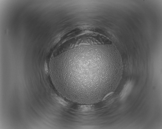 X0000060780089200511101351