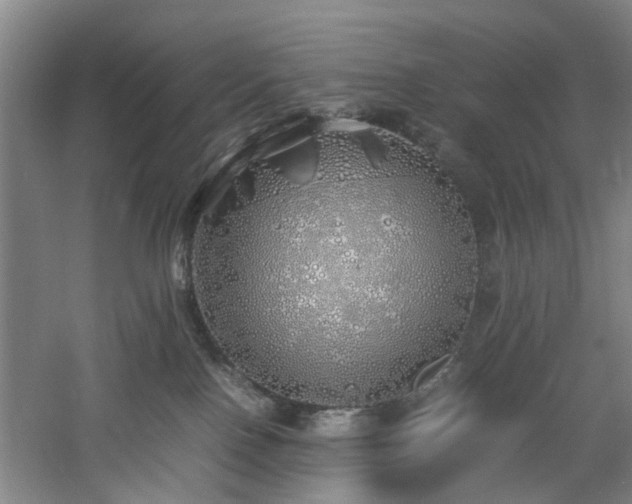 X0000060780090200511101351