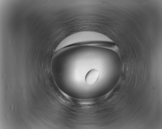 X0000060780091200511101351