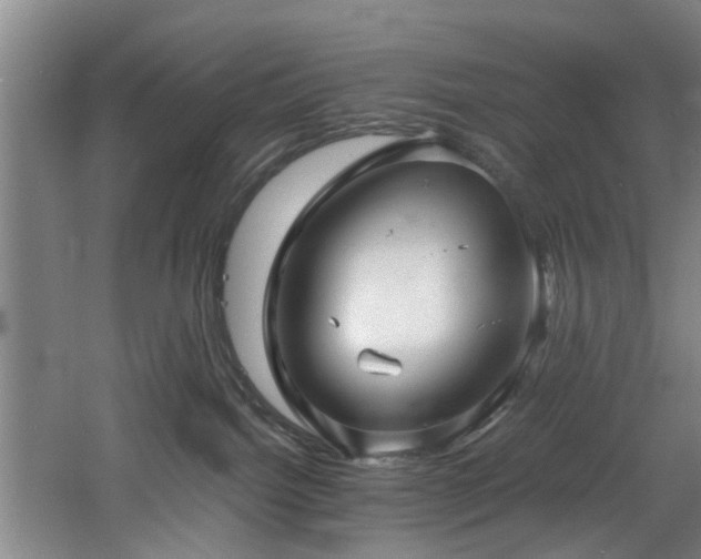 X0000060780092200511101351