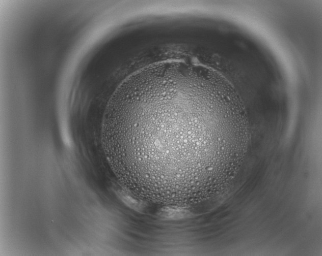 X0000060780093200511101351