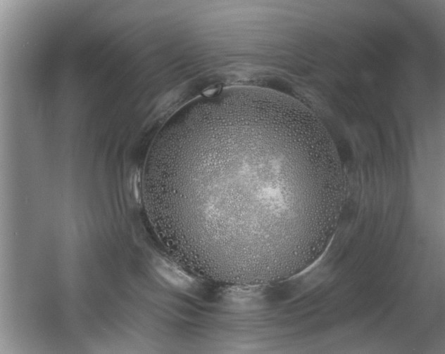 X0000060780094200511101351