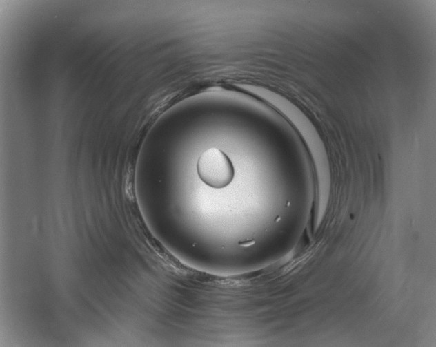 X0000060780096200511101351