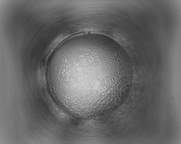 X0000060780098200511101350