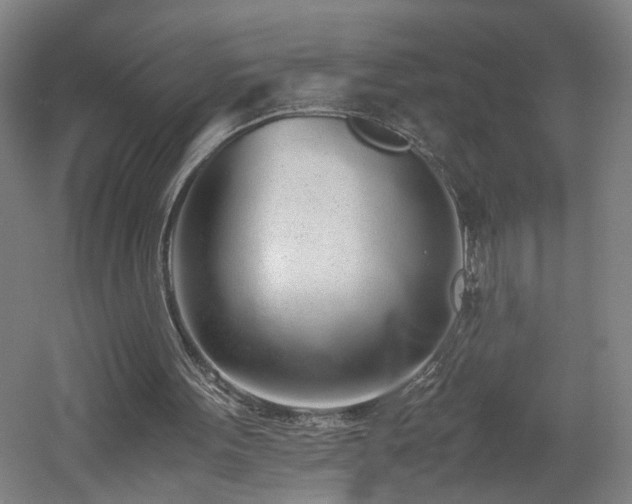 X0000060780099200511101350