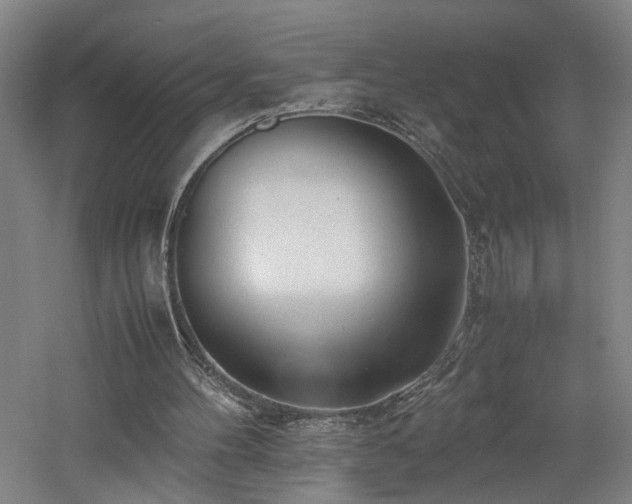 X0000060780100200511101350