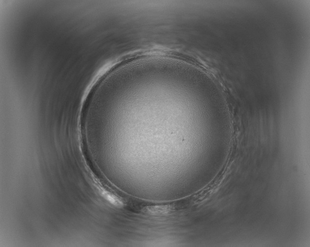 X0000060780102200511101350