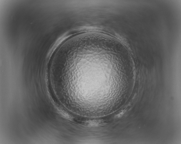 X0000060780103200511101350