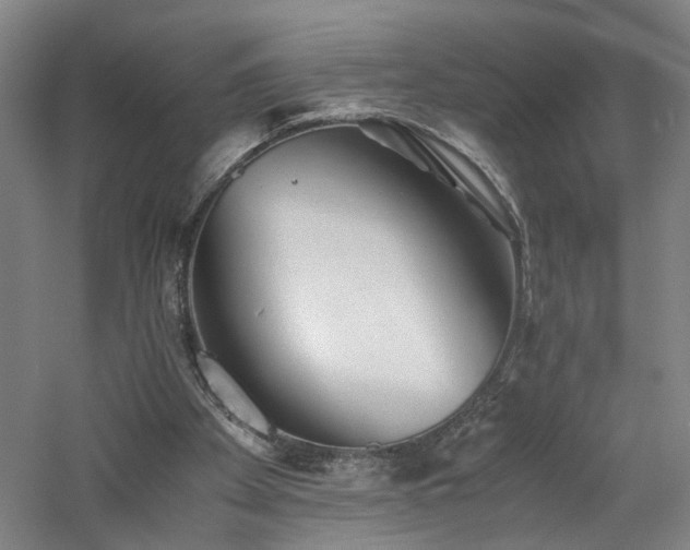 X0000060780105200511101350