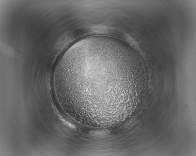 X0000060780106200511101350