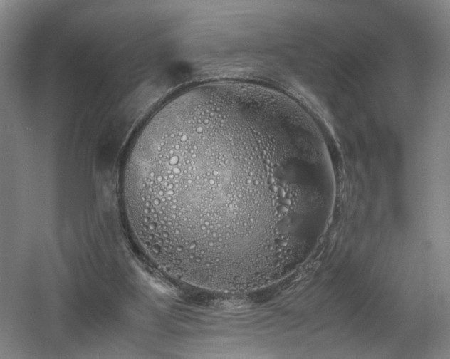 X0000060780107200511101350