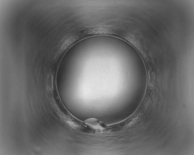 X0000060780109200511101350