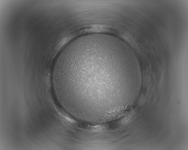 X0000060780111200511101350