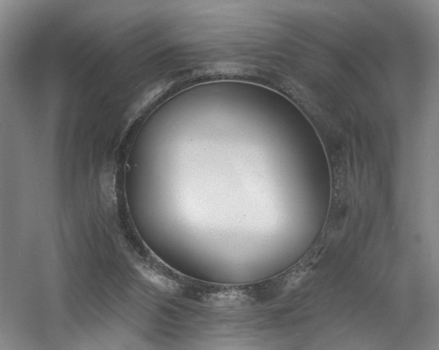 X0000060780112200511101350