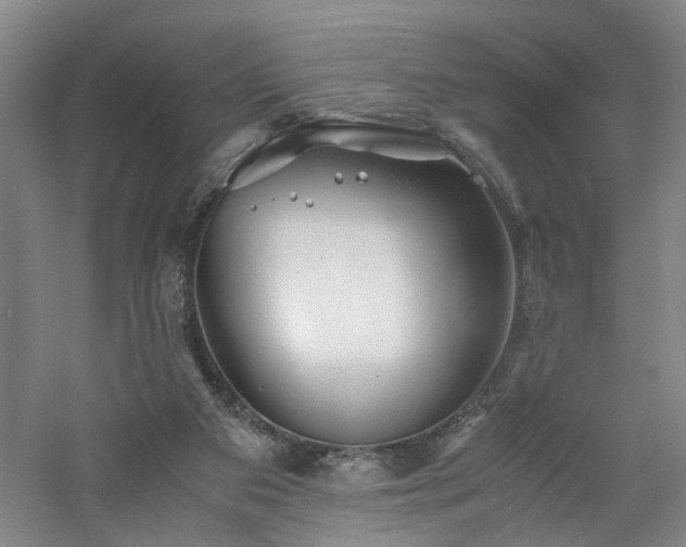 X0000060780113200511101350