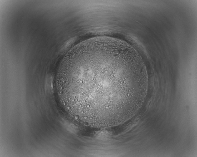 X0000060780115200511101350