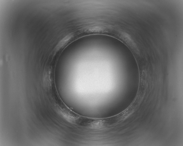 X0000060780116200511101350