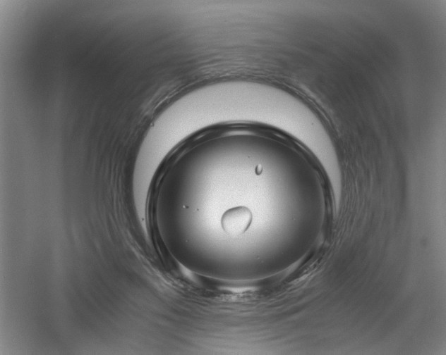 X0000060780117200511101350