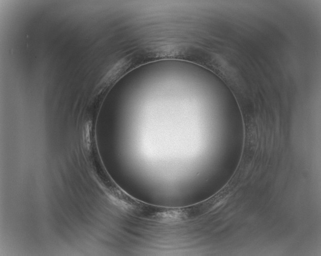 X0000060780118200511101350