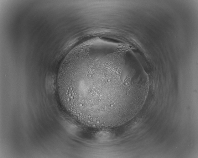 X0000060780119200511101350