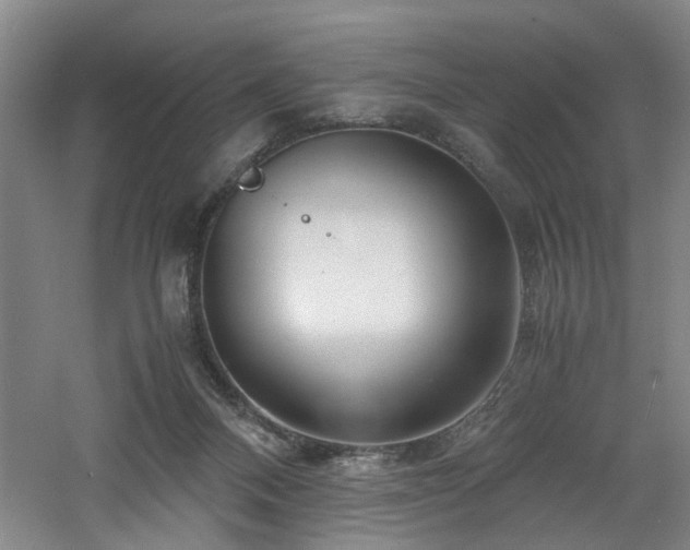 X0000060780120200511101350