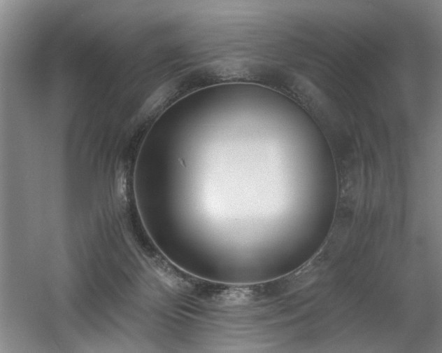 X0000060780124200511101350