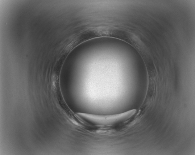 X0000060780125200511101350