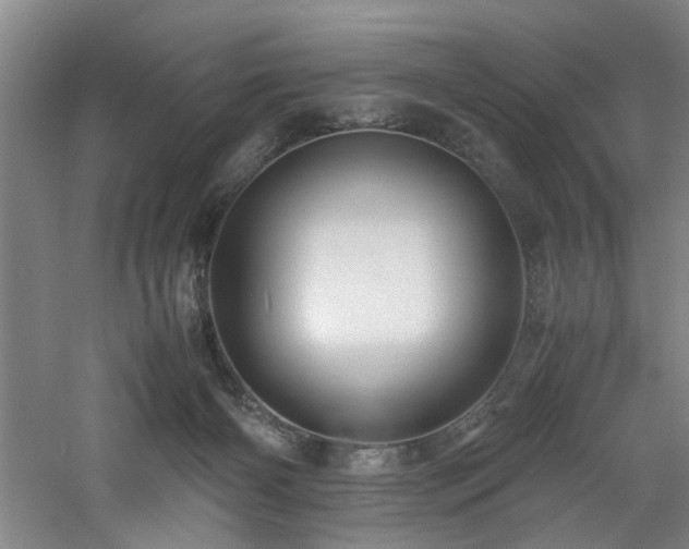 X0000060780126200511101350