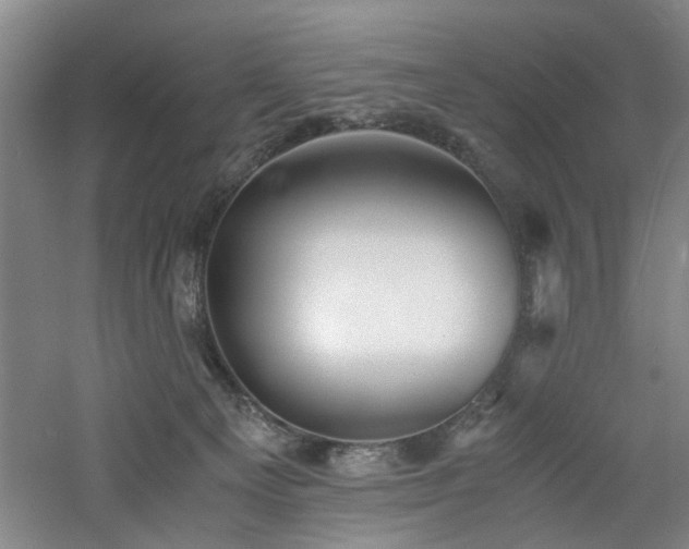 X0000060780129200511101350