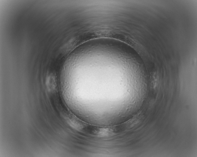 X0000060780130200511101349