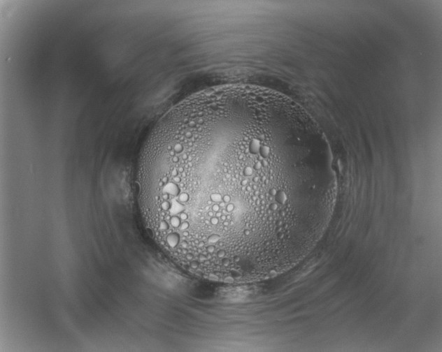 X0000060780131200511101349