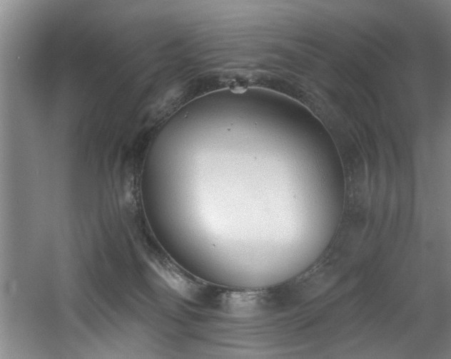 X0000060780134200511101349