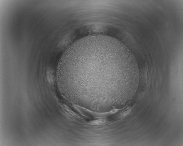 X0000060780135200511101349