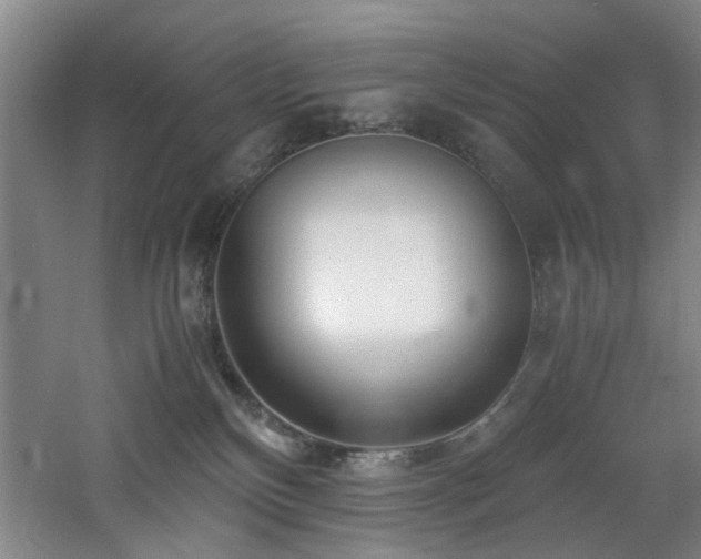 X0000060780136200511101349