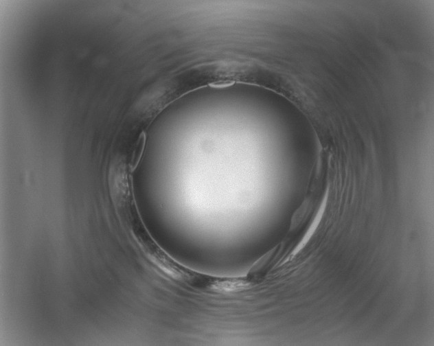 X0000060780137200511101349