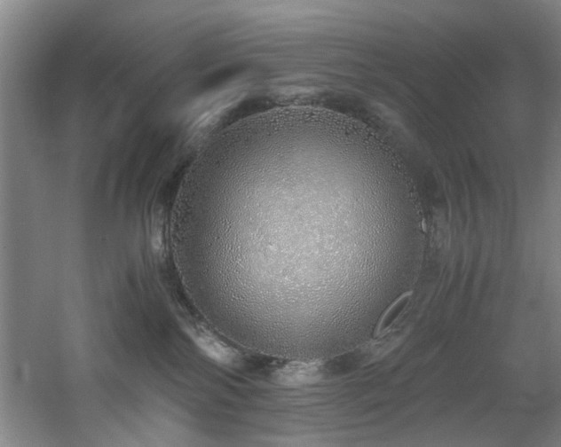 X0000060780138200511101349