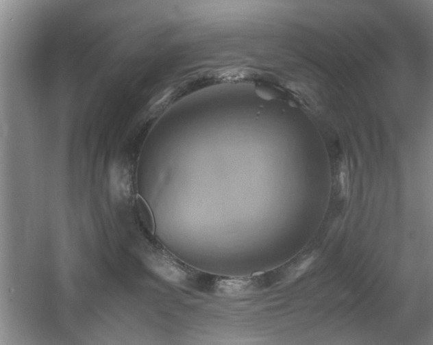 X0000060780139200511101349