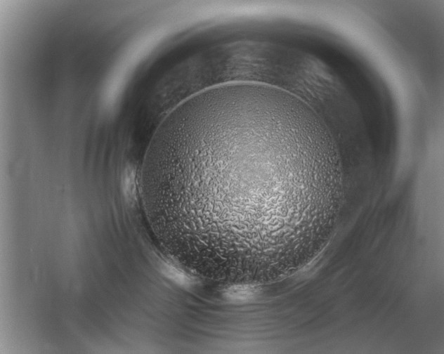 X0000060780142200511101349