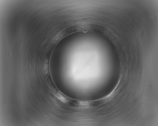 X0000060780144200511101349