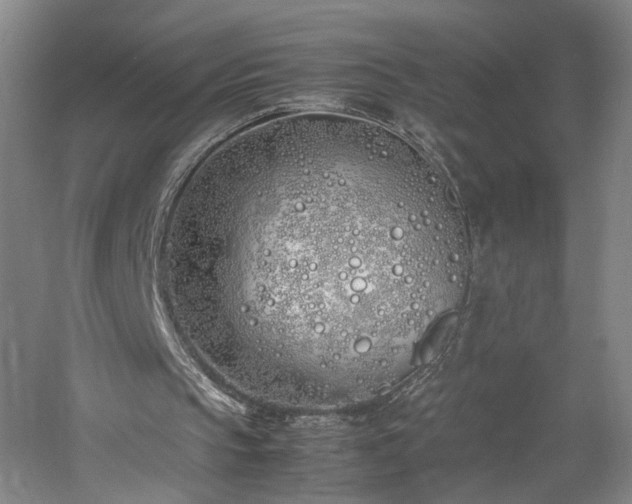 X0000060780145200511101348