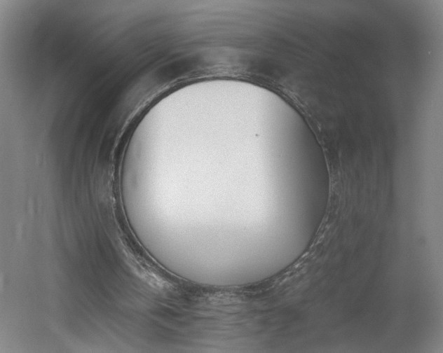 X0000060780146200511101348