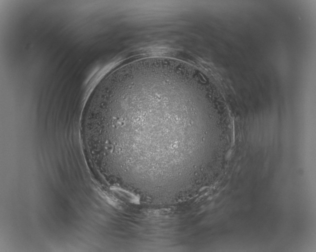 X0000060780147200511101348