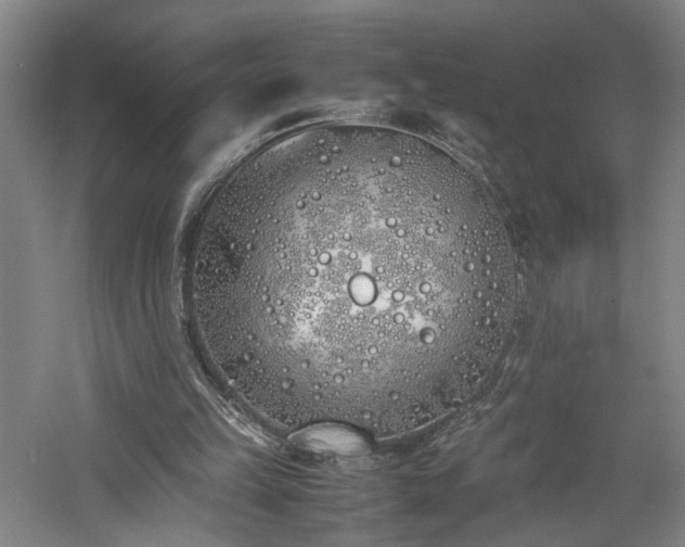 X0000060780149200511101349