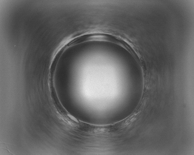 X0000060780152200511101349